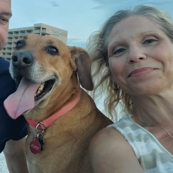 Meet your Posher, Athena - Picture 4 of 4